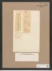 Frustulia ? incomperta (Lew.) D.T. (de-Toni-Nr.: Genus 19, Species 1163) Zeichnungen Sammlung Grunow Nr. 2270 (NHMW-BOT-W0369383)